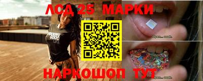spice Кингисепп