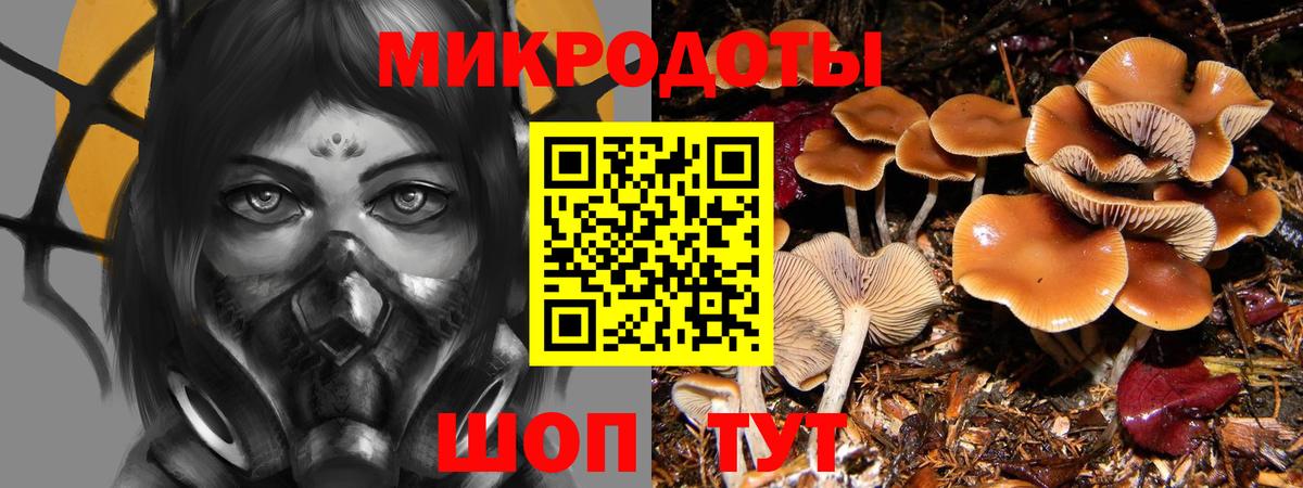 Галлюциногенные грибы MAGIC MUSHROOMS  Вход с VPN  Краснознаменск 